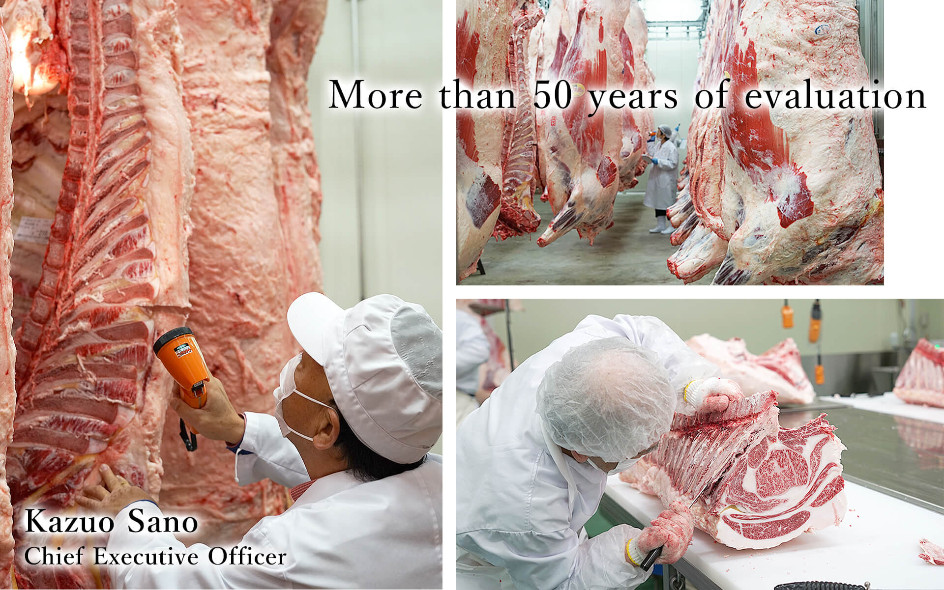 How we have been evaluating beef for more than 50 years